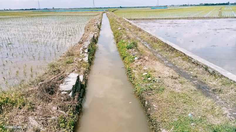 tanah 50 hektar cikarang bekasi