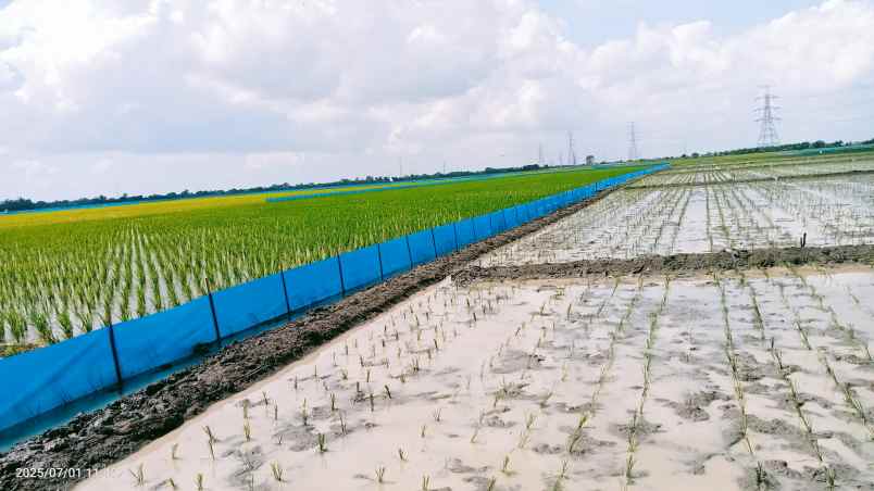 tanah 50 hektar cikarang bekasi