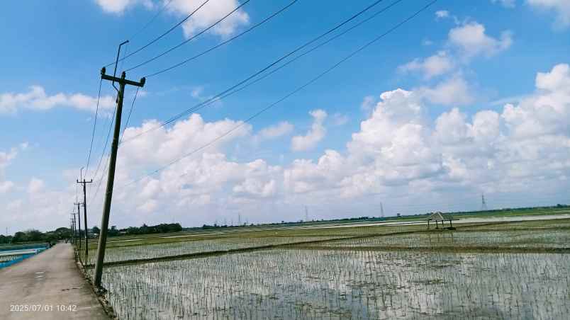 tanah 50 hektar cikarang bekasi
