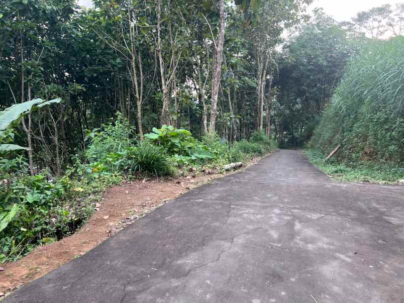 tanah 75 juta kawasan wisata ngargoyoso