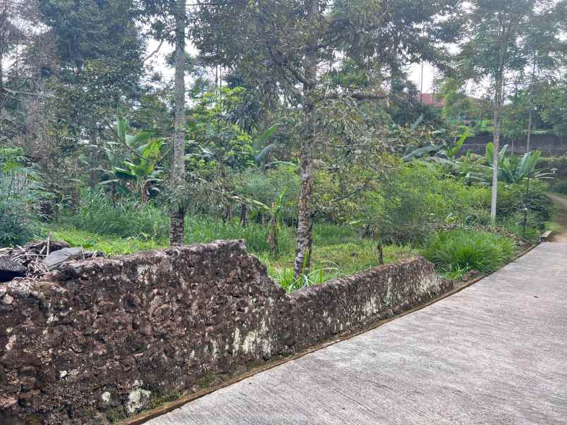 tanah 800m dekat sungai kemuning