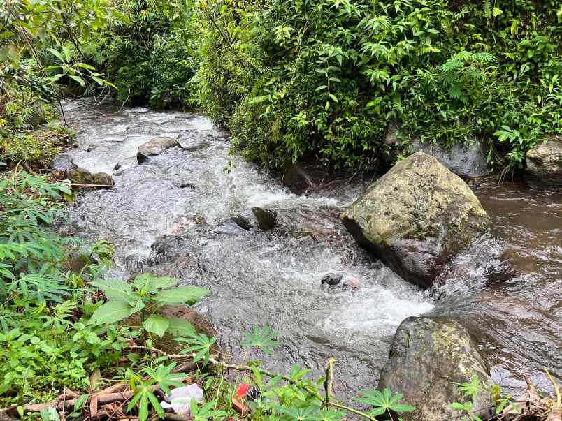 tanah 800m dekat sungai kemuning