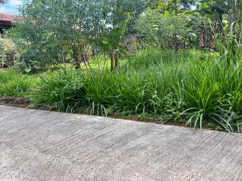 tanah 800m dekat sungai kemuning