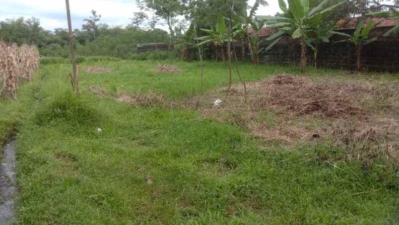 tanah ajibarang siap bangun