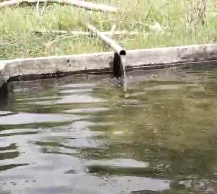 tanah dan sumber mata air panas subang