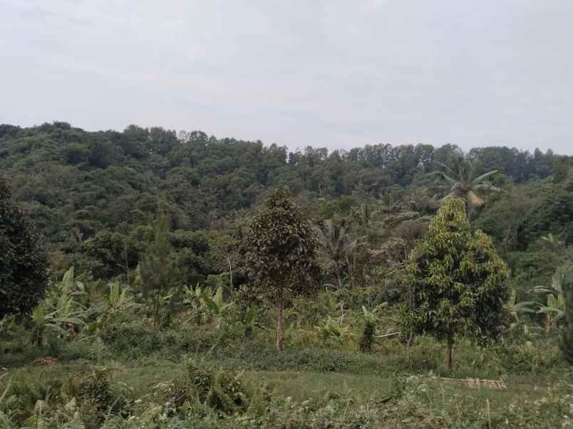 tanah dan sumber mata air panas subang