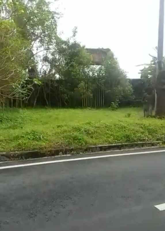 tanah datar siap bangun di buahan kaja payangan bali