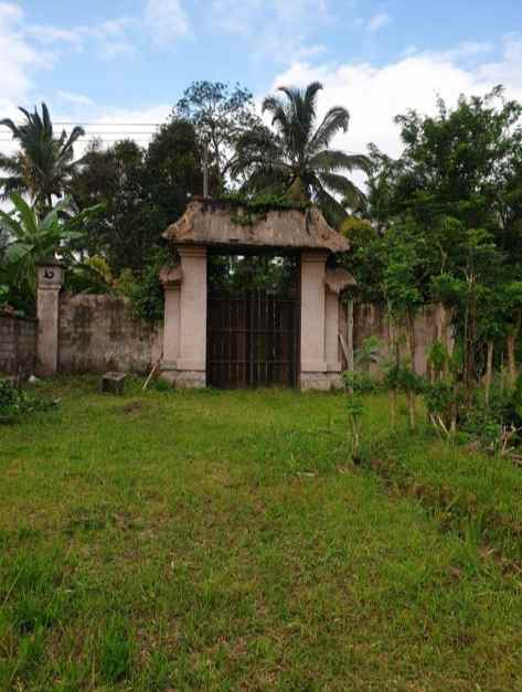 tanah datar siap bangun di buahan kaja payangan bali