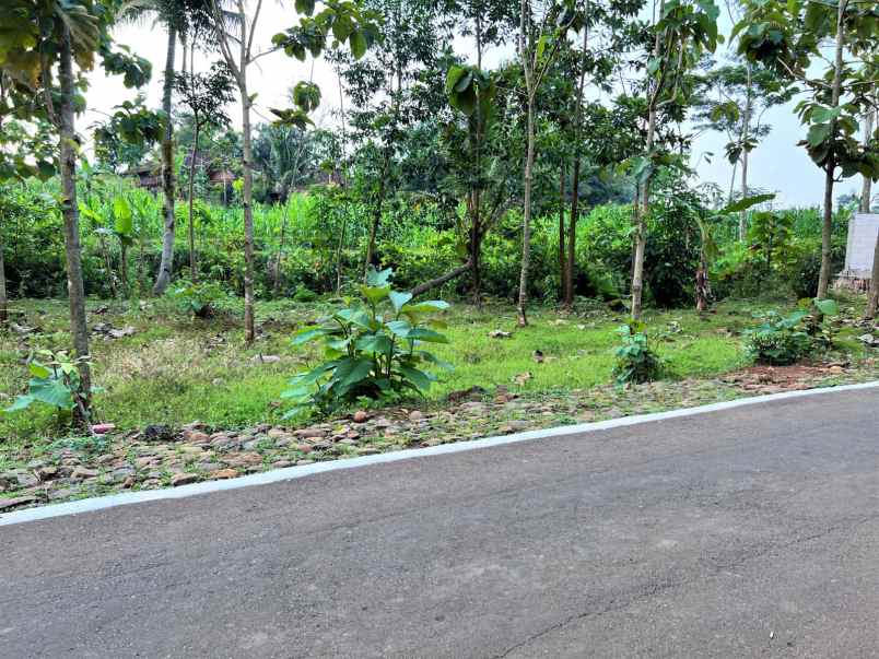 tanah datar strategis hanya 65 juta kerjo karanganyar