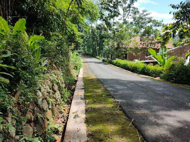 tanah desa wisata mojogedang