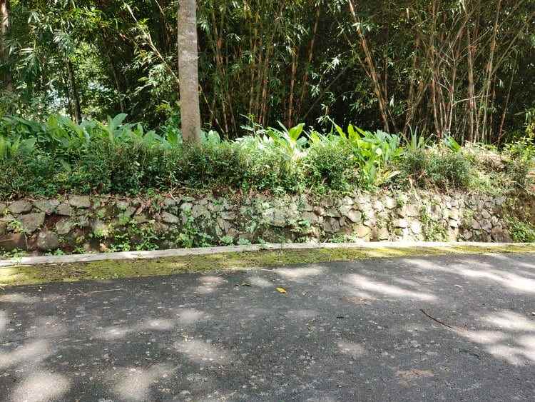 tanah desa wisata mojogedang