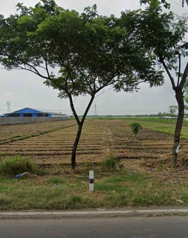 tanah di brebes cocok untuk gudang
