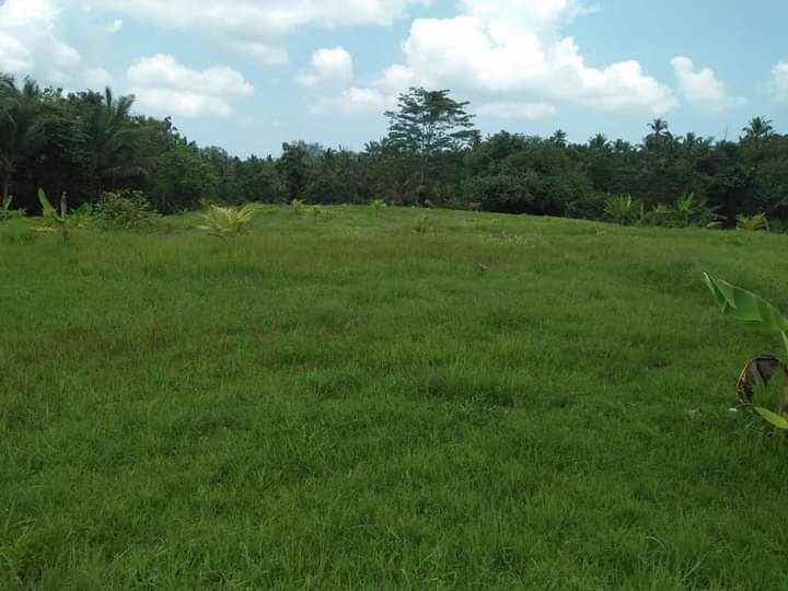 tanah gadung sari selemadeg