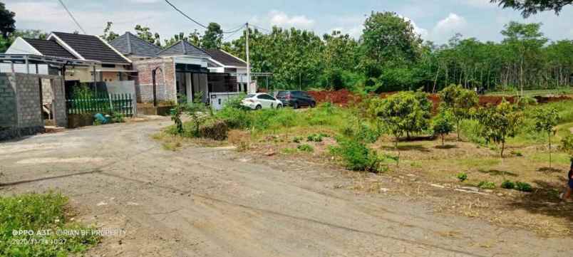 tanah jambusari mangunsari