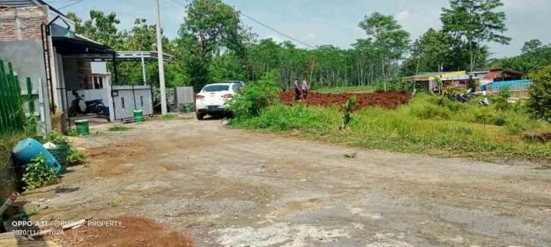 tanah jambusari mangunsari