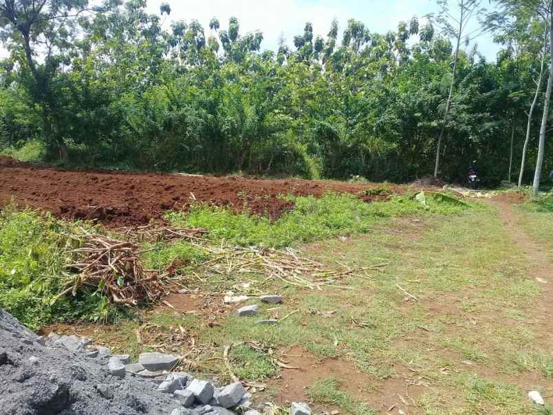 tanah jambusari mangunsari