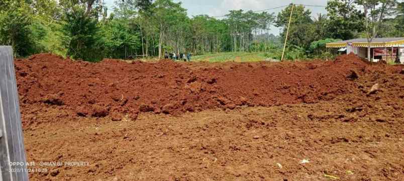 tanah jambusari mangunsari