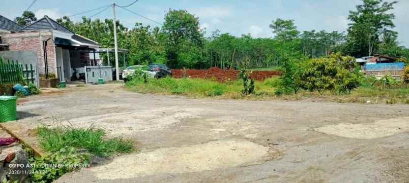 tanah jambusari mangunsari