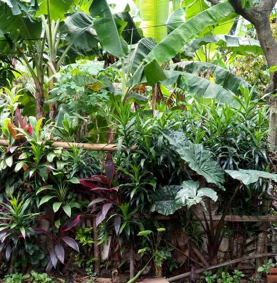 tanah jln h syukur lenteng agung