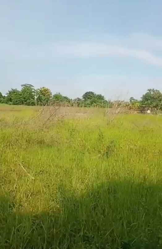 tanah jln lobunta len cirebon