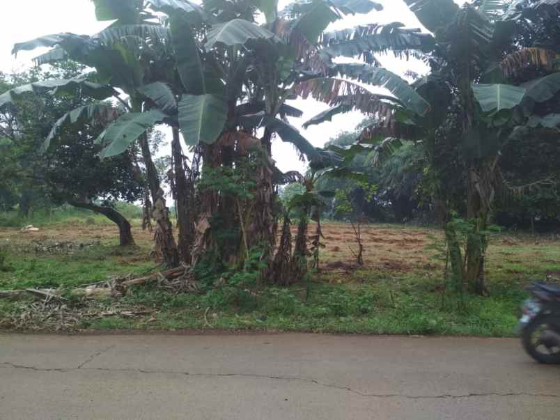 tanah jln raya cimuning mustika