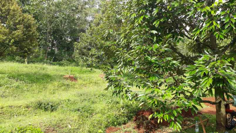 tanah jumapolo karanganyar