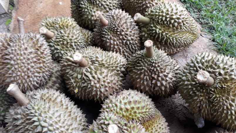 tanah jumapolo karanganyar