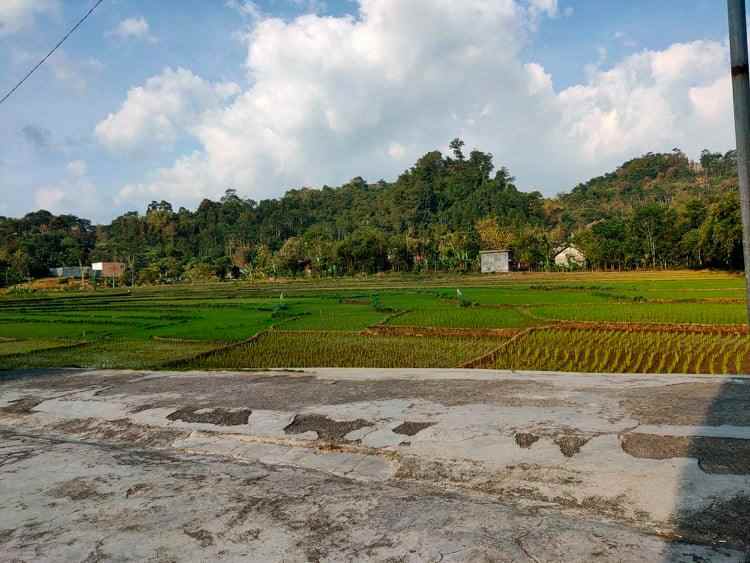 tanah karangpandan karanganyar