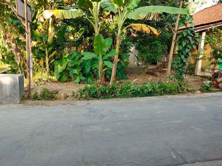 tanah karangpandan karanganyar