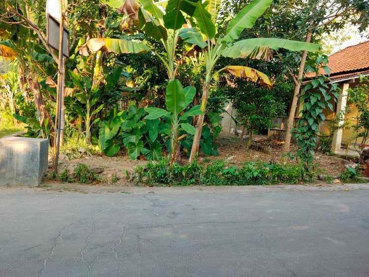 tanah karangpandan karanganyar