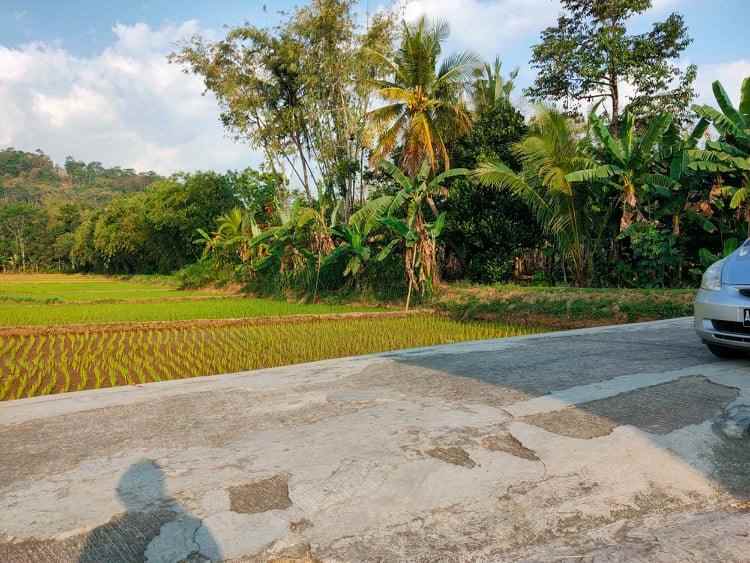 tanah karangpandan karanganyar