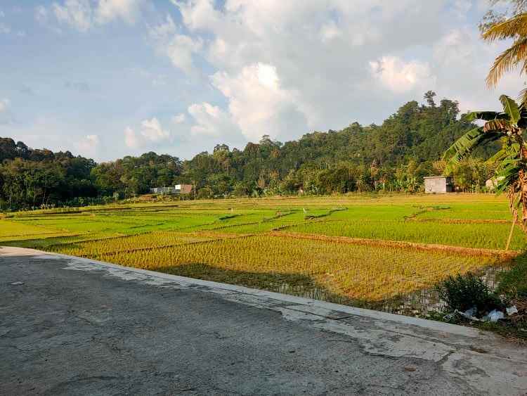 tanah karangpandan karanganyar