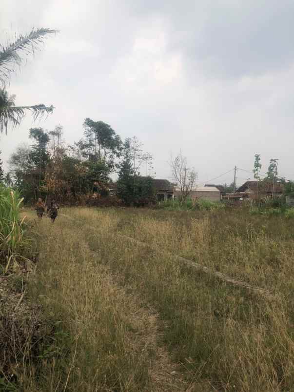 tanah kavling siap bangun jati agung
