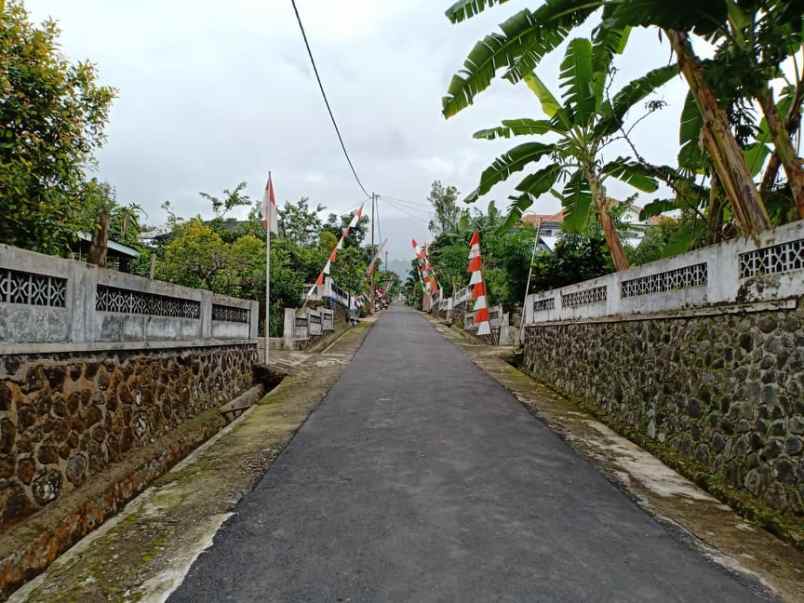 tanah kemuning ngargoyoso