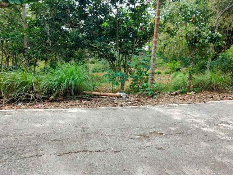 tanah kerjo karanganyar