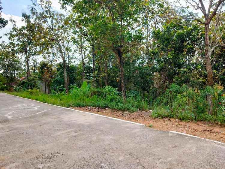 tanah kerjo karanganyar