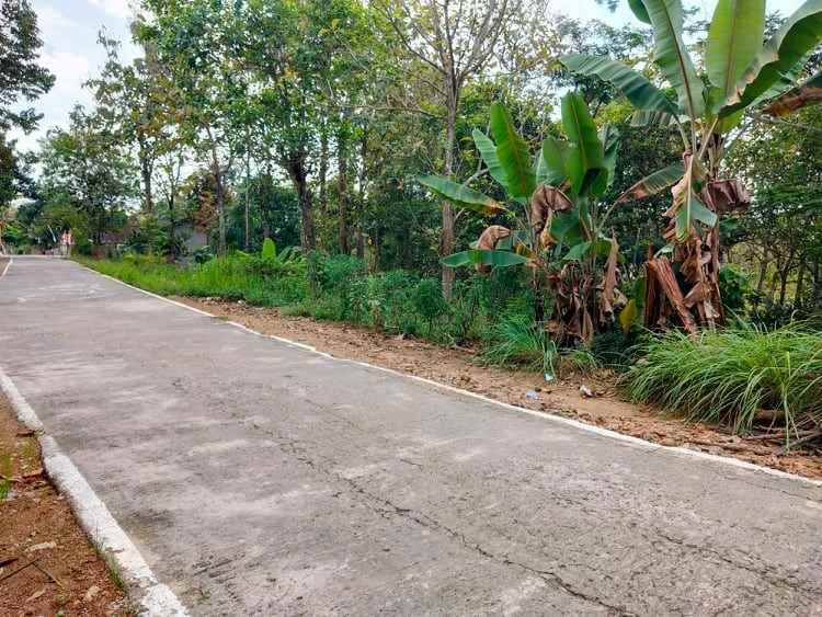 tanah kerjo karanganyar