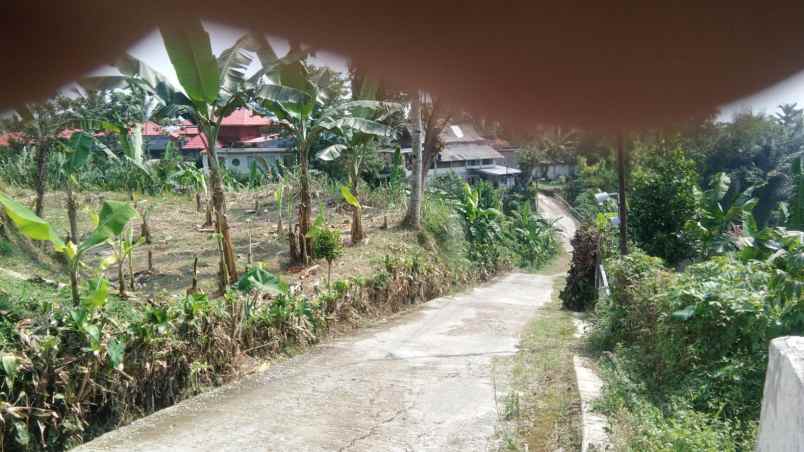 tanah kosong cocok buat rumah plus kebun