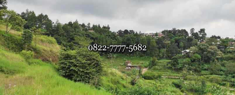 tanah kuta kec megamendung