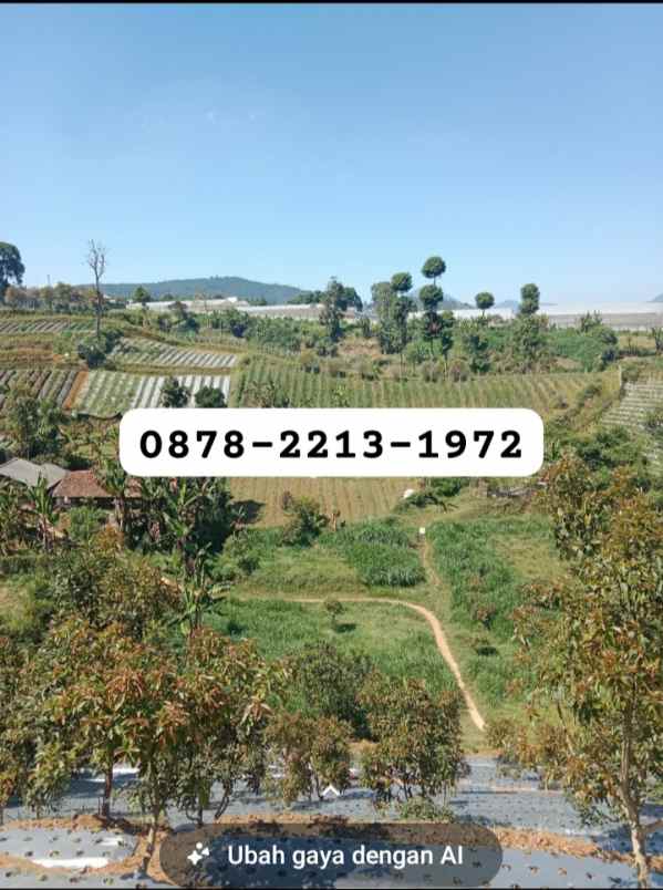 tanah luas 2 ha bagus untuk resort di lembang