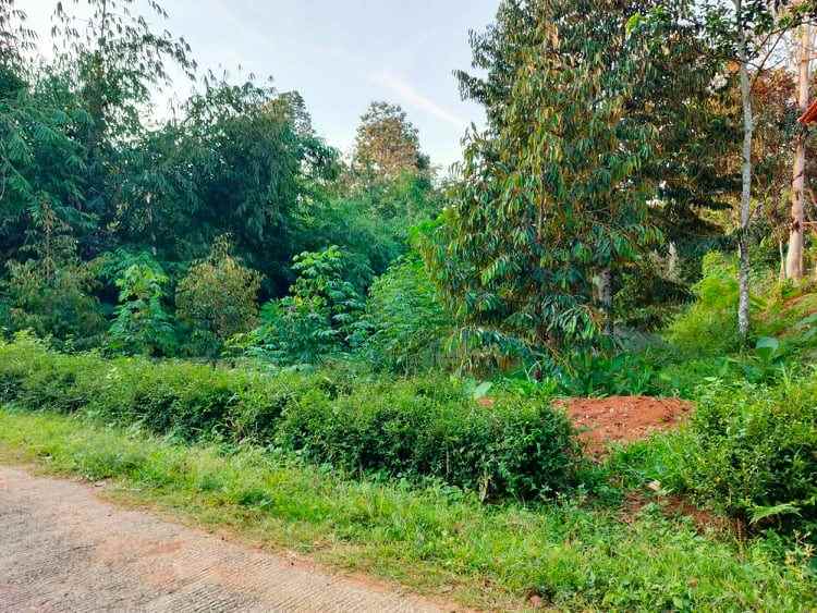 tanah mojogedang karanganyar