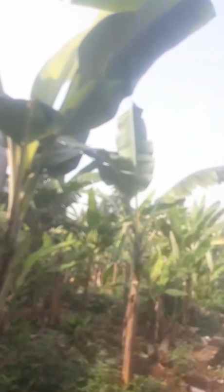 tanah murah 45m pondasi keliling akses motor