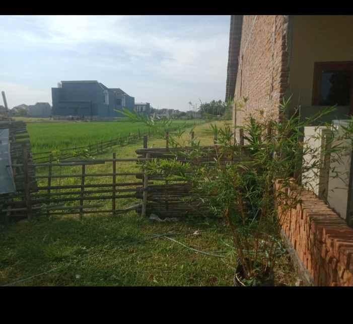 tanah murah yang penting jadi