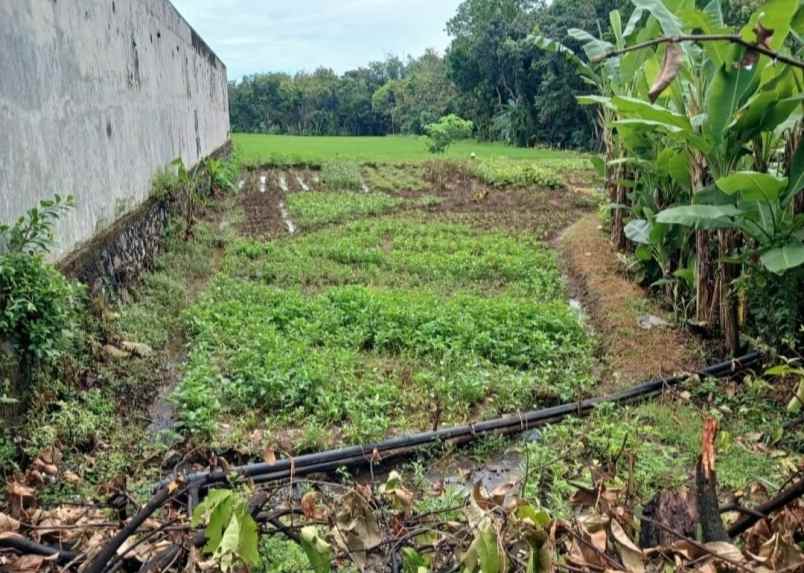tanah pekarangan bejen karanganyar
