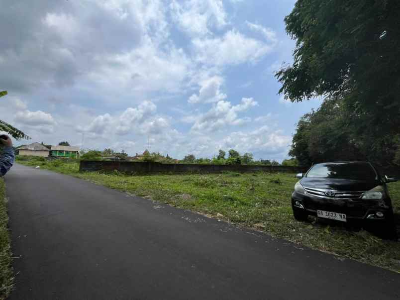 tanah pekarangan murah view sawah dan merapi