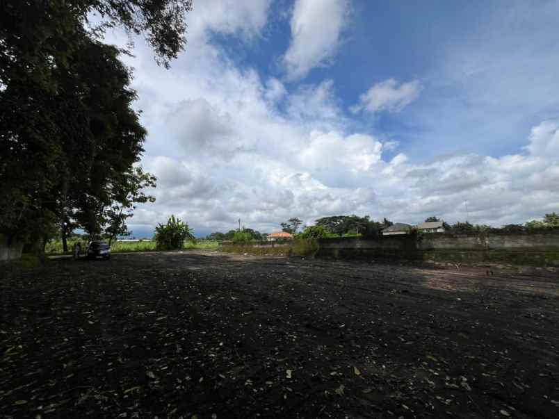tanah pekarangan murah view sawah dan merapi