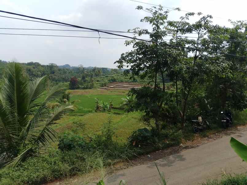 tanah sawah dekat sungai subang jawa barat