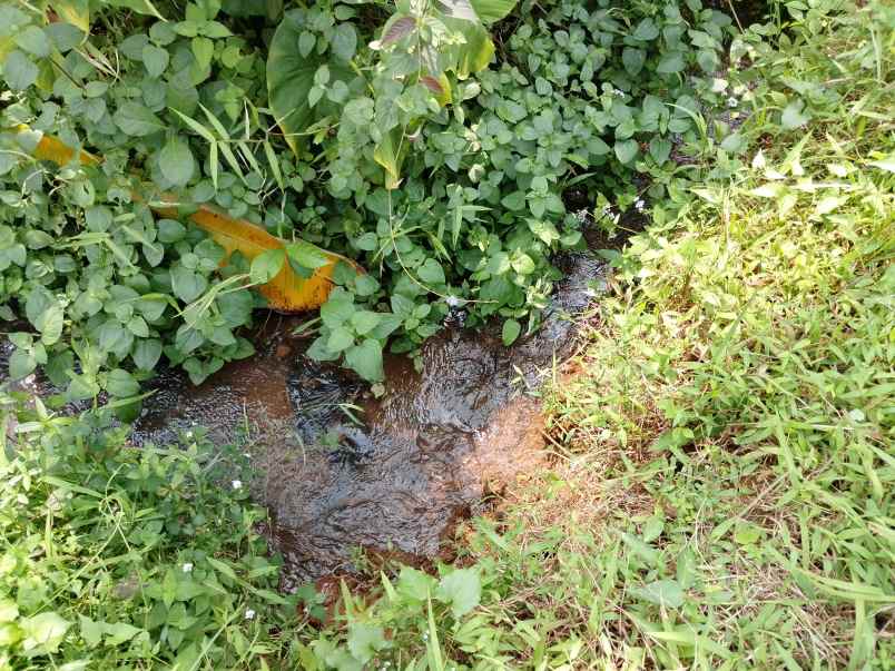 tanah sawah dekat sungai subang jawa barat