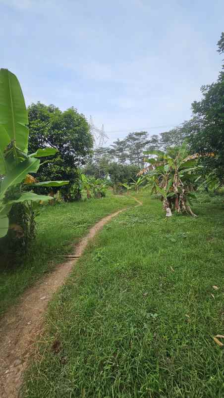 tanah strategis di ungaran