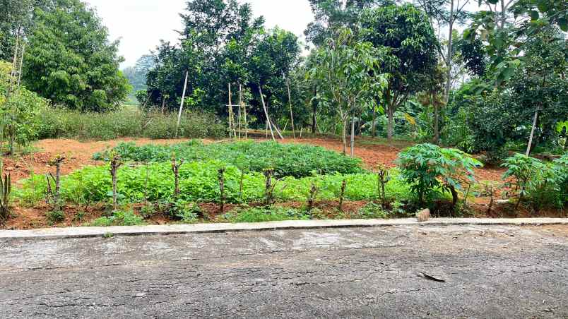 tanah view 1000m mojogedang karanganyar